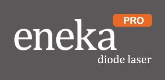 Eneka Pro Logo