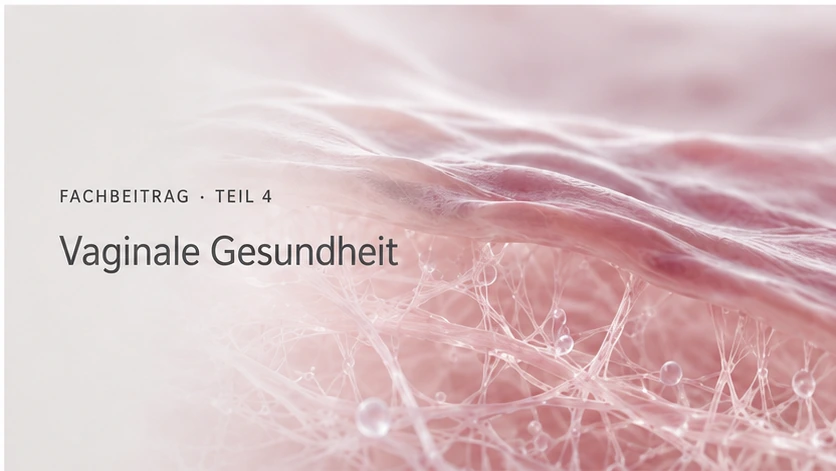 Fachbeitrag Teil 4 zu vaginaler Gesundheit, Schleimhaut und Gewebequalität